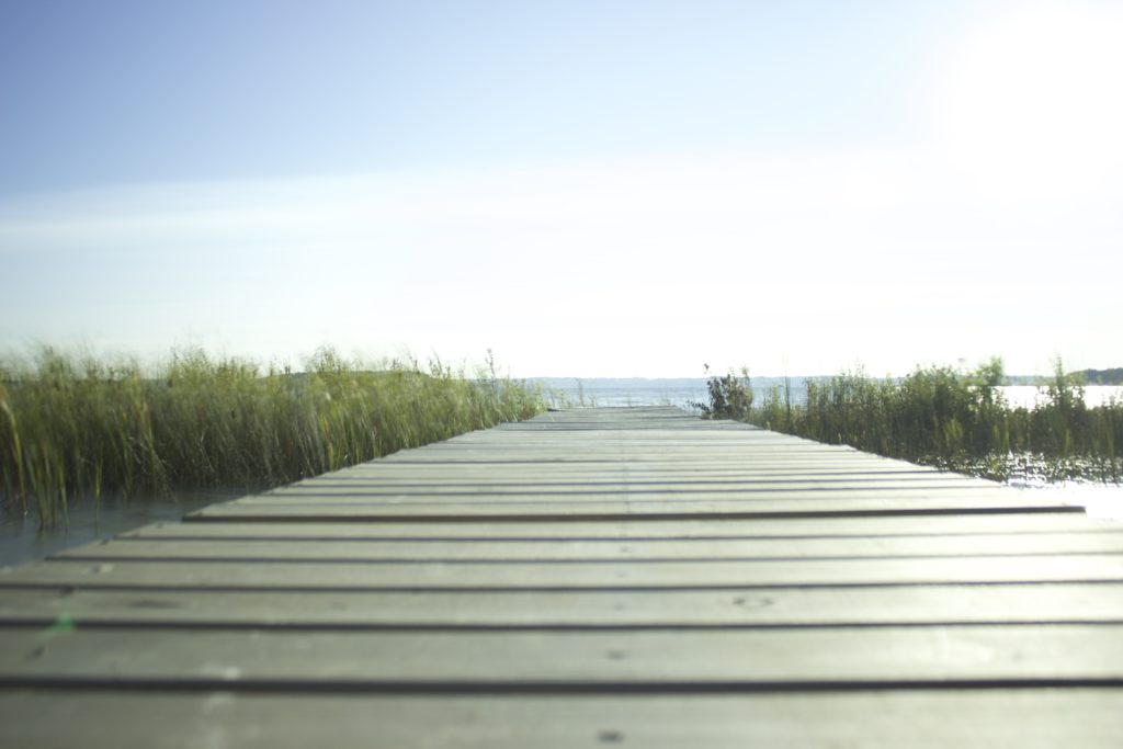 Thyroid Autoimmune Disease: My Experience + Recommendations